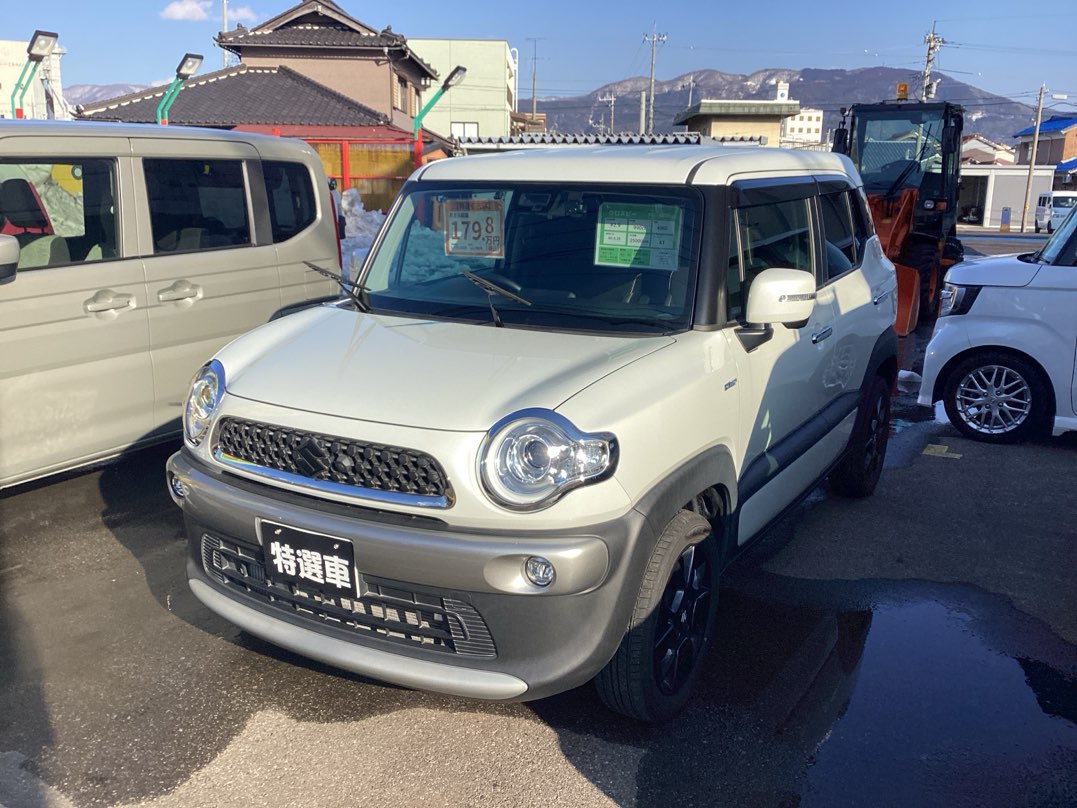 �X�Y�L�N���X�r�[�@MZ�@�SWD